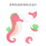 Food Grade Silicone Baby Teething Chewer Newborn Fruit Sucking Chewing Toys - Image 4